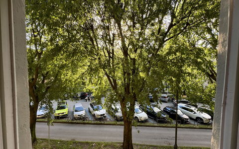 Alle Mura: Køretøj, Bil, Træ, Motor Køretøj, Hjul, Transportere, Bilindustrien Udvendige