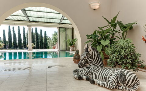 Terrazza e Libreria: Plante, Indretning, Bygning, Vindue, Træ, Arecales, Gulvbelægning, Træ, Ejendom, Græs