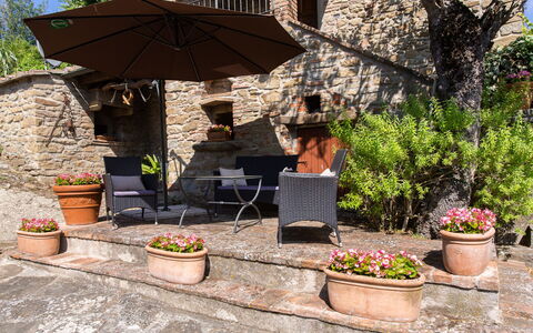 Villa i Cocciai: Backyard, Blomsterkrukke, Gårdhave, Gård, Paraply, Plante, Træ, Landskab, Hus, Landscaping