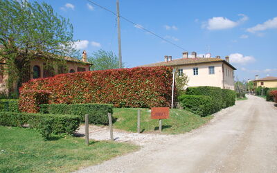 agriturismo-cabbiavoli-chianti-multiproperty-casa-marcello-external