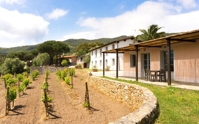 Feriebolig:&nbsp;Monolocale (2+1pax)