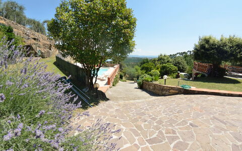 Agli Olivi: Ejendom, Have, Træ, Botanik, Ejendom, Landskab, Walkway, Landscaping, Plante, Hus