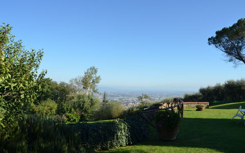 Aurora: Himmel, Grøn, Træ, Græs, Morgen, Sky, Landdistrikt, Blad, Græsfamilien, Land Lot