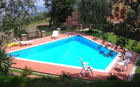 Aurora: Svømmepøl, Ejendom, Fritid, Græs, Hus, Ejendom, Backyard, Rektangel, Bygning, Gård