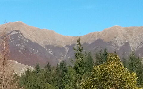 Ai Cuori: Bjergrige Landskabsformer, Bjerg, Ødemark, Highland, Vegetationen, Bakke, Kam, Bjergkæde, Hill Station, Træ
