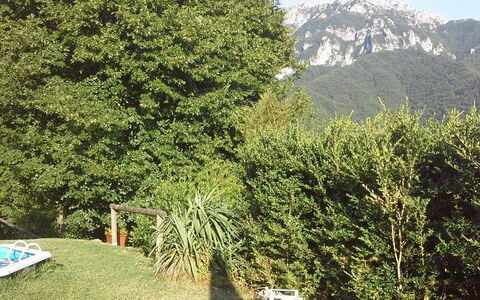 Emilia: Plante, Bjerg, Naturlige Landskab, Træ, Vegetationen, Biome, Evergreen, Græs, Vedplante, Bunddække