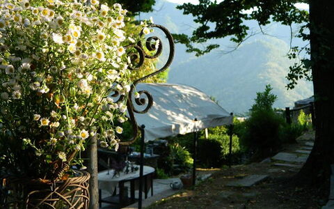 Emilia: Plante, Træ, Hus, Græs, Fritid, Himmel, Landskab, Blomst, Busk, Bænk