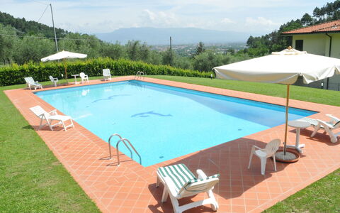 Villa Vaniglia Proprietà: Svømmepøl, Ejendom, Græs, Fritid, Ejendom, Hus, Skygge, Rektangel, Bygning, Villa