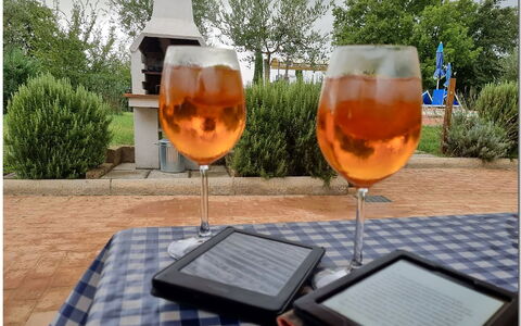 Villetta Di Cortona: Bordservice, Plante, Drinkware, Bord, Glasservice, Barware, Træ, Orange, Stol