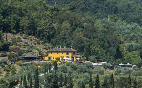 Villa Solaria: Hill Station, Vegetationen, Bjerglandsby, Træ, Bakke, Landdistrikt, Landsby, Hus, Skov, Bjerg