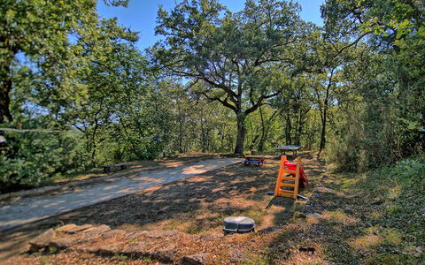 Sole Nel Prato: Træ, Vegetationen, Naturligt Miljø, Naturlige Landskab, Ødemark, Naturreservat, Skov, Græs, Biome, Vedplante