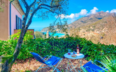 Olivi Del Mesco - Levanto: Blå, Grøn, Vegetationen, Naturlige Landskab, Majorelle Blue, Træ, Himmel, Græs, Ejendom, Landskab