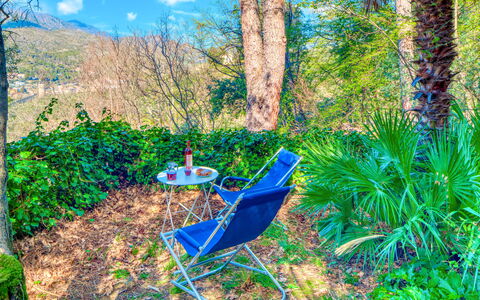 Olivi Del Mesco - Levanto: Vegetationen, Majorelle Blue, Træ, Biome, Naturlige Landskab, Skov, Naturreservat, Plante, Jungle, Terrestrisk Plant