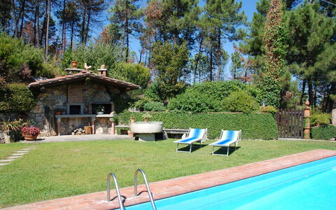 Al Mennucci: Ejendom, Svømmepøl, Ejendom, Backyard, Hus, Gård, Hjem, Græs, Fritid, Estate