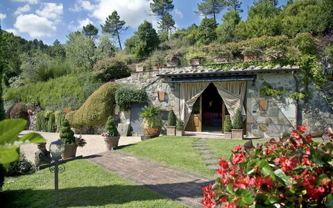 Al Mennucci: Have, Ejendom, Naturlige Landskab, Botanisk Have, Bygning, Gård, Hus, Estate, Landscaping, Botanik