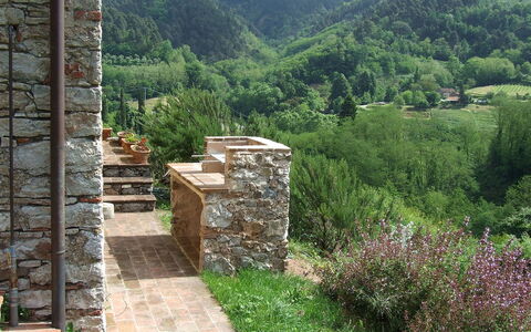 Bottino: Væg, Naturlige Landskab, Stenmur, Landskab, Træ, Rots, Landdistrikt, Græs, Plantesamfund, Plante