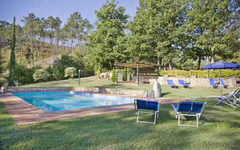 Broccolo: Svømmepøl, Ejendom, Ejendom, Backyard, Hus, Fritid, Græs, Hjem, Bygning, Estate