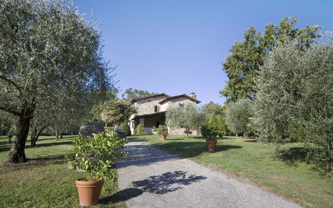 Broccolo: Ejendom, Hjem, Hus, Ejendom, Naturlige Landskab, Estate, Land Lot, Sommerhus, Træ, Bygning