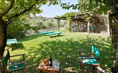 Casavecchia: Plante, Grøn, Skygge, Træ, Botanik, Udendørs Møbler, Vegetationen, Naturlige Landskab, Græs, Biome