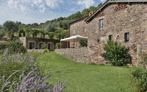 Chiodo: Ejendom, Hus, Naturlige Landskab, Sommerhus, Bygning, Græs, Landdistrikt, Væg, Stuehus, Græsfamilien