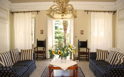 Fubbiano: Stue, Værelse, Indretning, Møbel, Ejendom, Bygning, Loft, Gul, Hus, Gardin