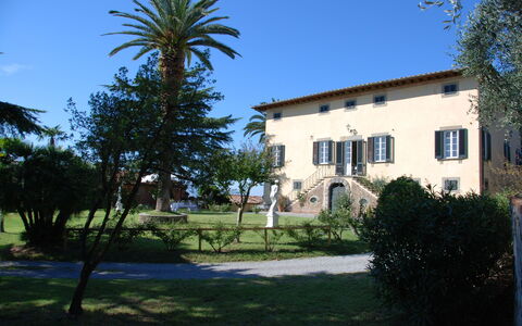 Fubbiano: Ejendom, Hus, Bygning, Hjem, Træ, Ejendom, Villa, Palme Træ, Himmel, Estate