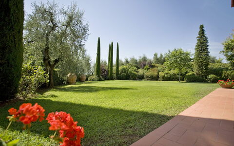 La Fonte: Have, Natur, Lawn, Naturlige Landskab, Ejendom, Græs, Gård, Landscaping, Landskab, Plante