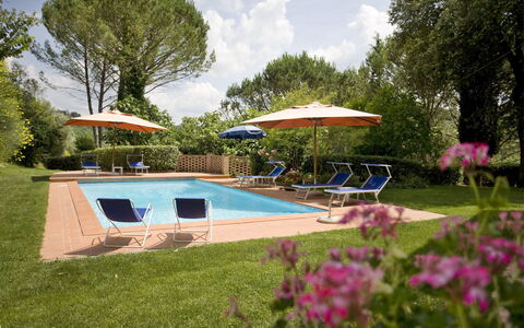 Le Ferrine
