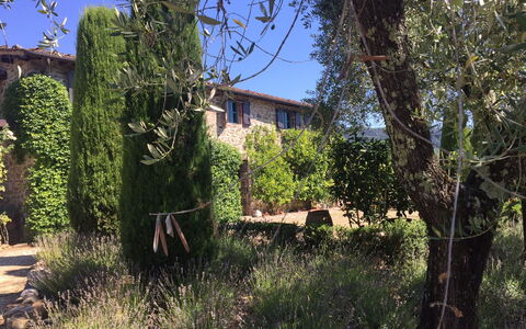 Macennere: Vegetationen, Ejendom, Træ, Hus, Himmel, Bygning, Busk, Græsfamilien, Landdistrikt, Arkitektur