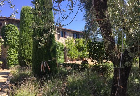 Macennere: Vegetationen, Ejendom, Træ, Hus, Himmel, Bygning, Busk, Græsfamilien, Landdistrikt, Arkitektur