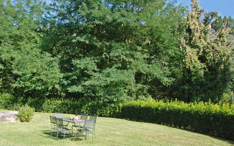 Magrini: Træ, Have, Ejendom, Naturlige Landskab, Græs, Busk, Plante, Vedplante, Botanik, Lawn