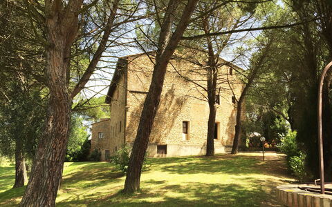 Malmantile: Træ, Græs, Vedplante, Arkitektur, Sollys, Bygning, Plante, Forår, Hus, Woodland