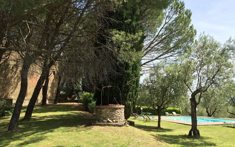 Malmantile: Træ, Natur, Naturlige Landskab, Græs, Naturligt Miljø, Daytime, Vedplante, Himmel, Plante, Forår