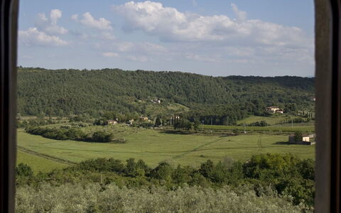 Ricavoli: Vegetationen, Vindue, Græs, Plantesamfund, Himmel, Græsfamilien, Træ, Almindeligt, Økoregion, Landdistrikt