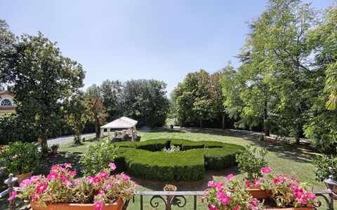 Villa Clara 20: Have, Ejendom, Botanisk Have, Botanik, Ejendom, Estate, Plante, Træ, Gård, Blomst