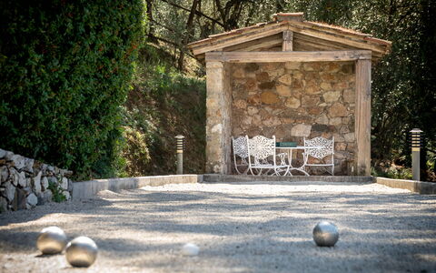 Villa Igea 13: Plante, Natur, Træ, Træ, Græs, Vejbelægning, Sollys, Biome, Bagagerum, Offentlige Rum