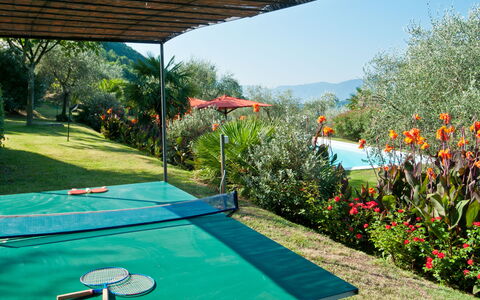 Villa Igea 13: Vand, Plante, Blomst, Ejendom, Himmel, Natur, Grøn, Azure, Svømmepøl, Bygning