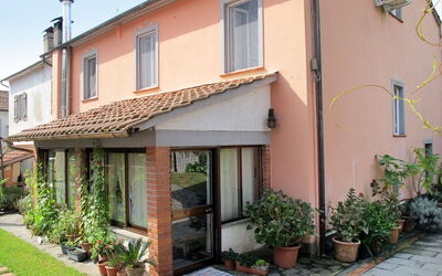 Agrifoglio