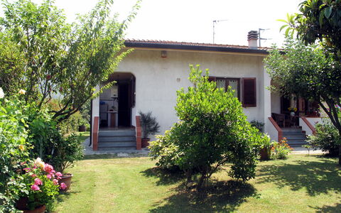 Emilia: Hus, Busk, Have, Boligområde, Hjem, Lawn, Bunddække, Dør, Backyard