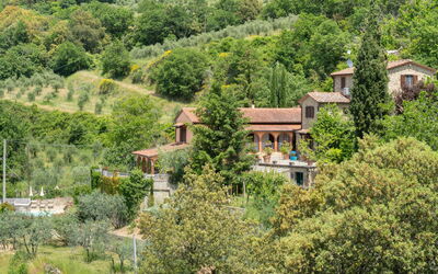 La Felcaia