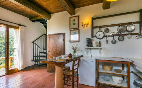 Feriebolig:&nbsp;Podere Cima a Zano Apt.fienile Pca107 626.7