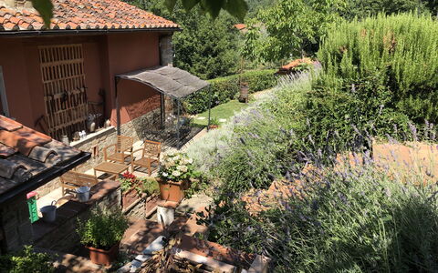 Villa Fusai: Ejendom, Gård, Tag, Hus, Biome, Landskab, Have, Bygning, Græs, Backyard