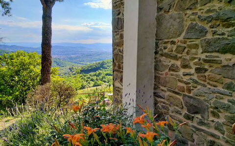 Villa Fusai: Natur, Vegetationen, Blomst, Plante, Træ, Blad, Væg, Wildflower, Græs, Botanik