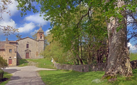Casa Di Lilli: Græs, Landskab, Græs-, Landdistrikt, Eng, Pasture, Slot, Kloster