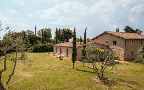 Lavacchio 16: Plante, Himmel, Sky, Økoregion, Vindue, Træ, Bygning, Land Lot, Naturlige Landskab, Græs