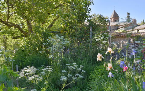 Casa Di Giulio: Blomst, Vegetationen, Busk, Have, Plantesamfund, Forår, Bunddække, Wildflower, Urteagtig Plante, Landscaping