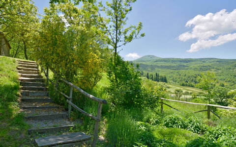 Casa Dell'ambasciatore: Grøn, Natur, Naturligt Miljø, Naturlige Landskab, Bjergrige Landskabsformer, Vegetationen, Bakke, Busk, Sommer, Landskab