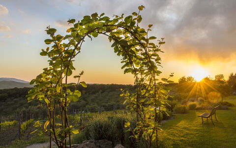 Sequerciani: Natur, Træ, Himmel, Naturlige Landskab, Morgen, Biome, Plante, Sollys, Landskab, Arch