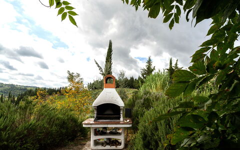 Calanchi Apartments: Himmel, Træ, Plante, Have, Arkitektur, Bygning, Kultsted, Ferie, Hus