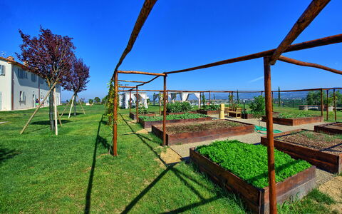 Il Sole Di Vino: Ejendom, Græs, Himmel, Træ, Arkitektur, Hus, Land Lot, Landdistrikt, Landskab, Plante